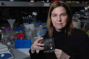 MIT Professor Angela Belcher and the prototype battery she and her team created using a genetically engineered virus.  Photo credit: Donna Coveney, courtesy of MIT