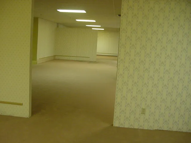 Backrooms, or, liminal rules everything around me in 2025