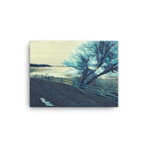 Thundersnow 12x16 Canvas Print
