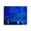 Aquarium - 16x20 Canvas Print