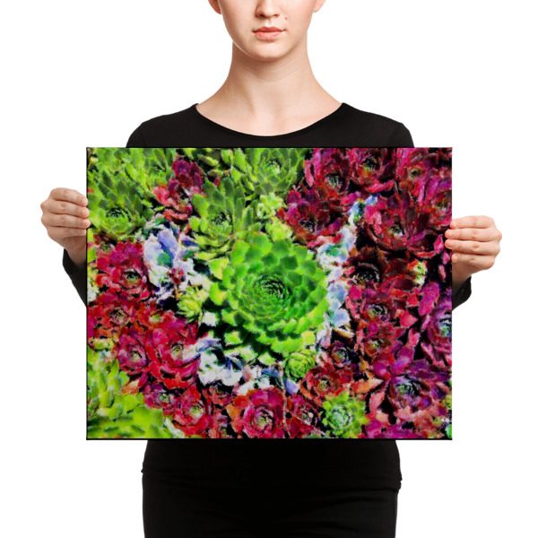 Succulents - 16x20 Canvas Print - Image 2