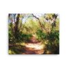 Florida Trail - 16x20 Canvas Print