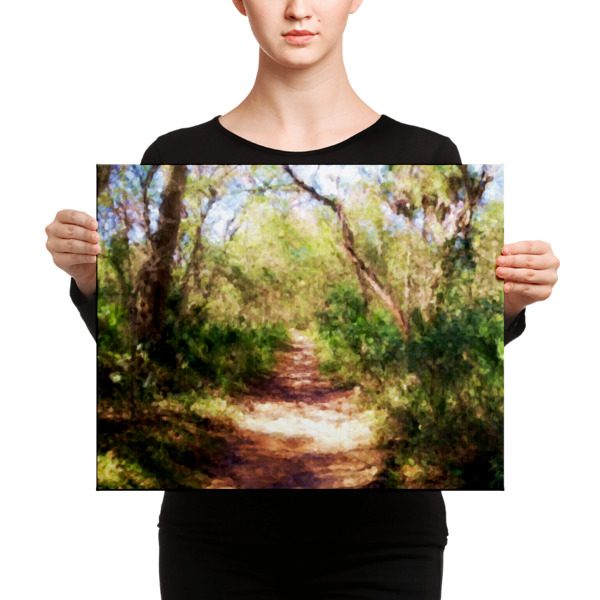Florida Trail - 16x20 Canvas Print - Image 2