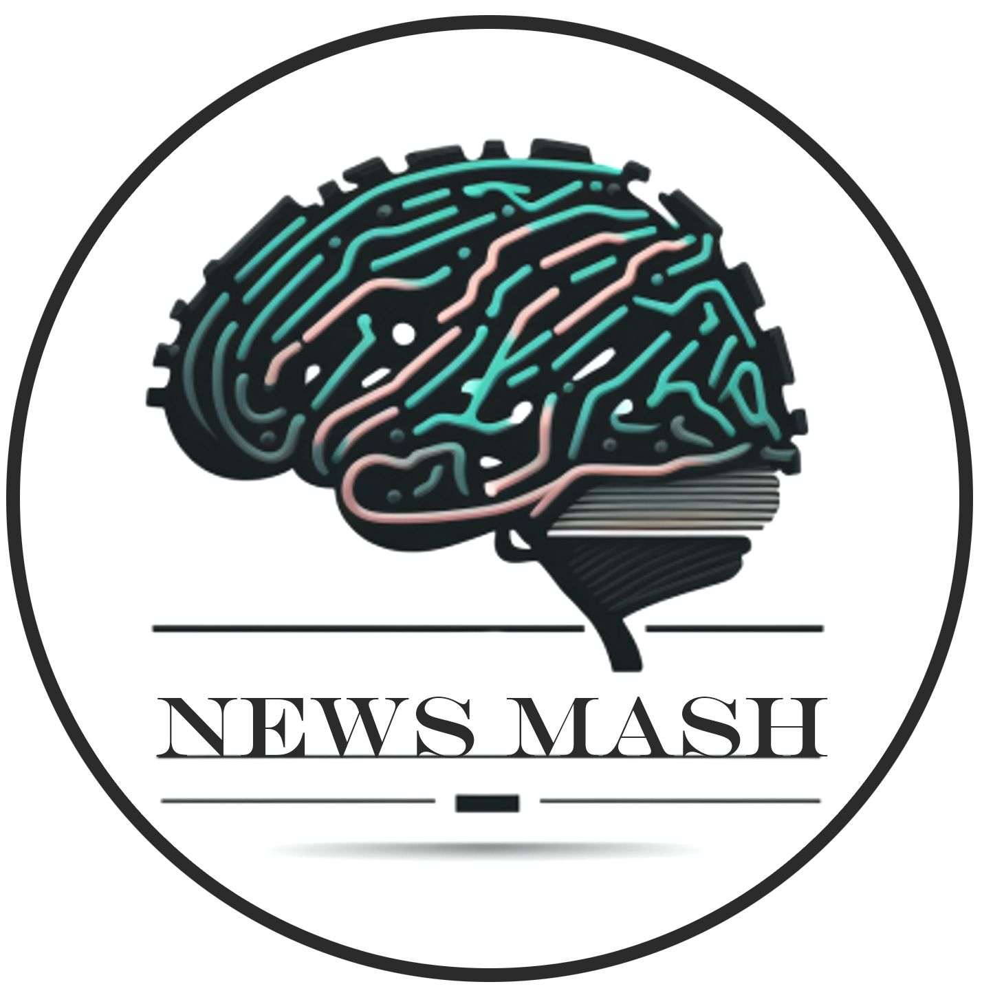 News Mash Logo